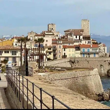 Confort Moderne Au Coeur D'antibes Appartamento